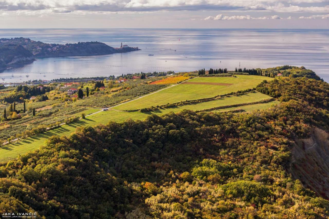 Istrian Lux Residence Koper Luaran gambar